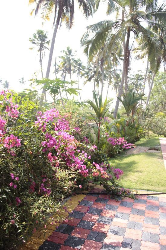 Fool'S Paradise Homestay Alappuzha Екстериор снимка